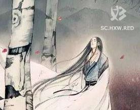 阮籍:咏怀·壮士何慷慨