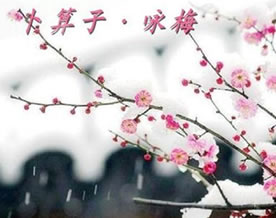 陆游:卜算子·咏梅|bǔ suàn zǐ·yǒng méi