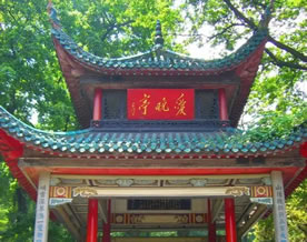 向铁生:秋日登麓山呈胡遂老师两首选一