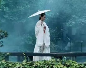 赵成志:鹧鸪天·夜雨