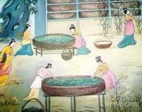 谢枋得:蚕妇吟|cán fù yín