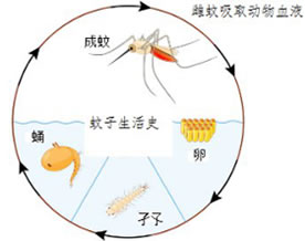 湖南省长沙市2023年中考生物真题