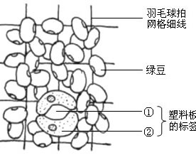 湖南省长沙市2018年中考生物真题试题