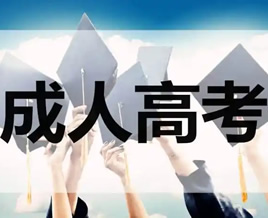 2024年全国成人高考《时事政治》预测试题