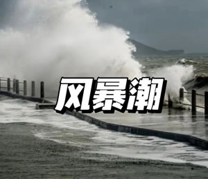 公务员考试真题行测专项训练之资料分析，表格资料题，2024深圳96～100