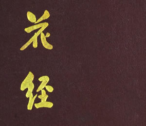 2025年普通高考语文真题试卷（新高考一卷），一、阅读，（一）阅读Ⅰ，种植入门问答