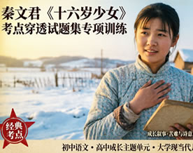 秦文君《十六岁少女》考点穿透试题集专项训练