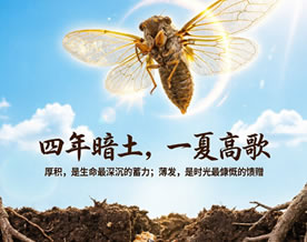 四年暗土，一夏高歌——法布尔《昆虫记》材料作文优秀范文